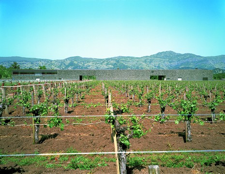 (BDT_10_045) Dominus Winery