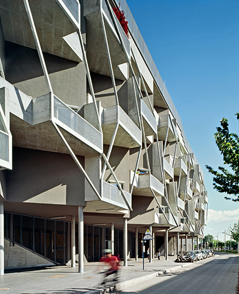 (BDT_24_007) Die Bremer Stadtmusikanten
