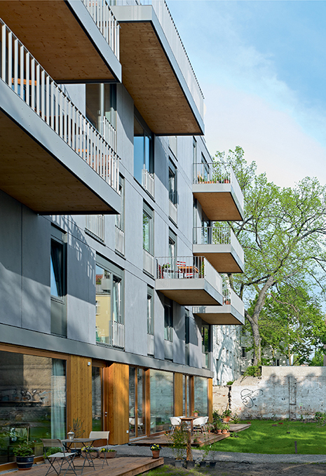 (BDT_24_010) 3xGrün