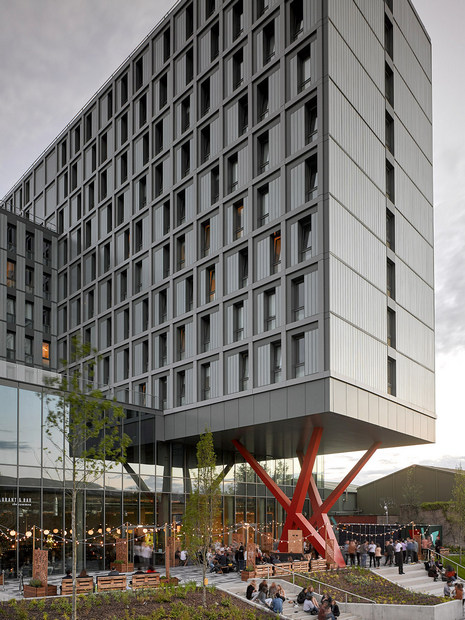 (BDT_27_038) The Collective Old Oak